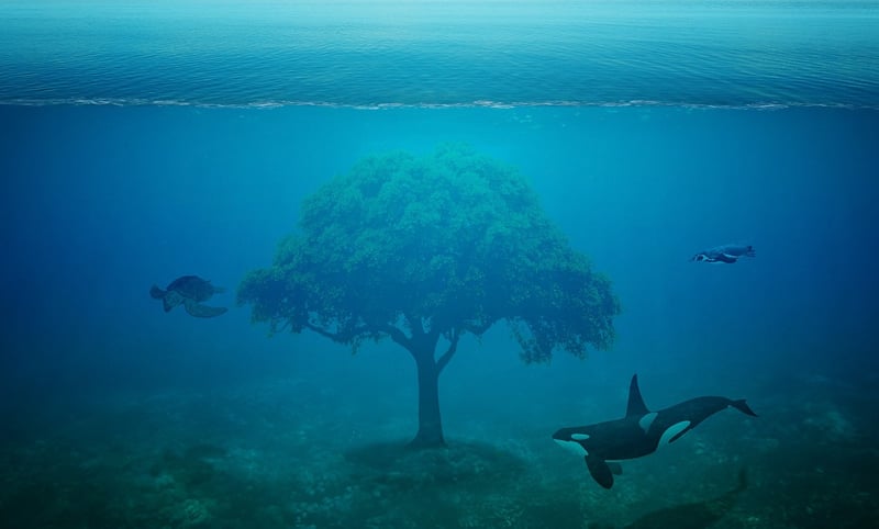 Underwater Paradise